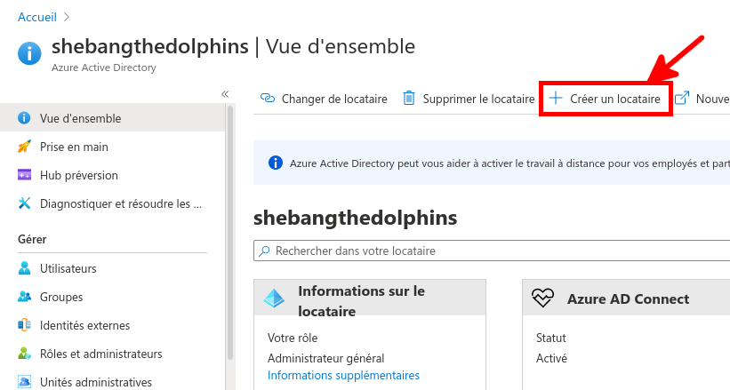 Azure Portal | Create a tenant