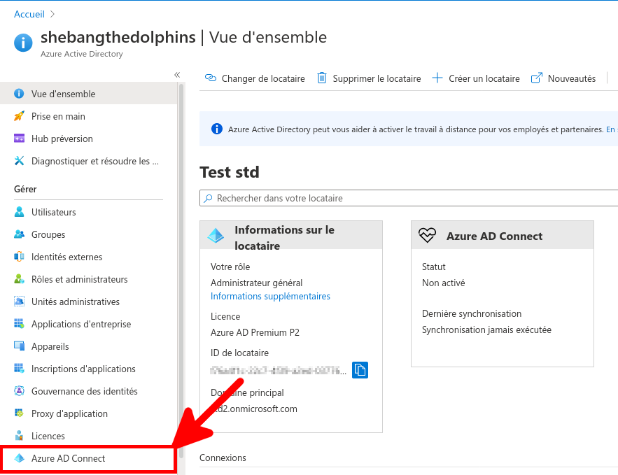 Azure Portal | Azure AD Connect Menu