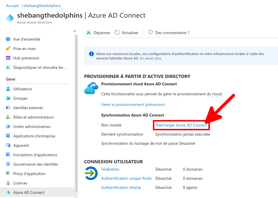 Azure Portal | Download Azure AD Connect