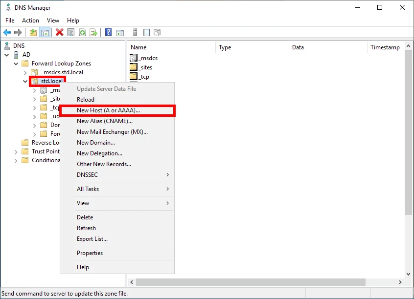 DNS Manager showing the 'New Host (A or AAAA)' option under the domain.