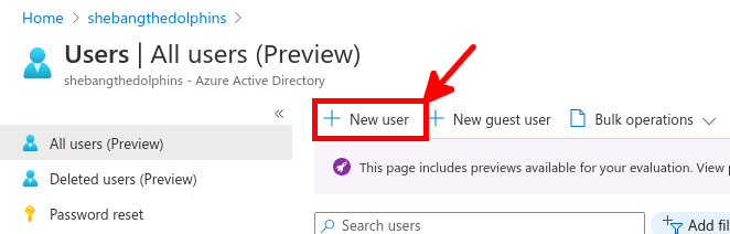 Azure Portal | Create a new user