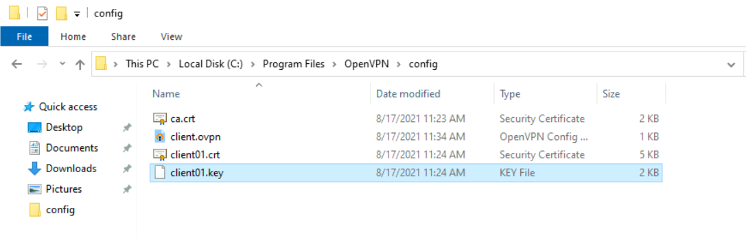 openvpn files on a windows host