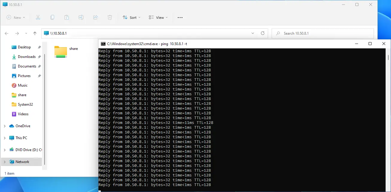 a ping in a dos prompt with a windows explorer window